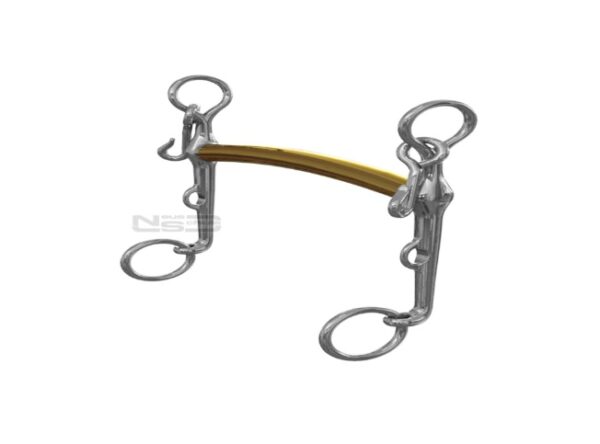 Neue Schule dressage L'Hotte Weymouth