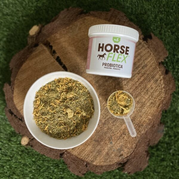 Horseflex Probiotics + Gut package - Image 4