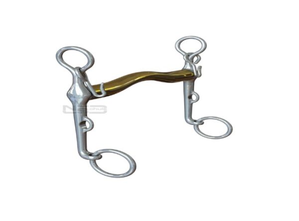 Neue Schule dressage Starter Weymouth