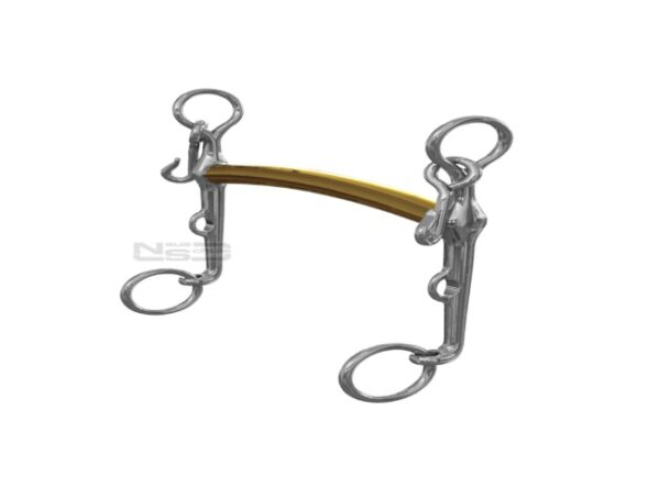 Neue Schule dressage Thoroughbred Weymouth